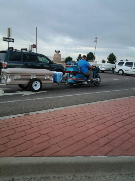 Daily Picdump