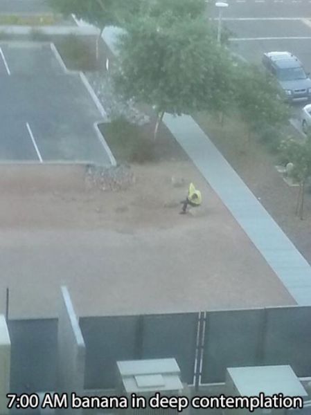 This Is What the Walk of Shame Actually Looks Like