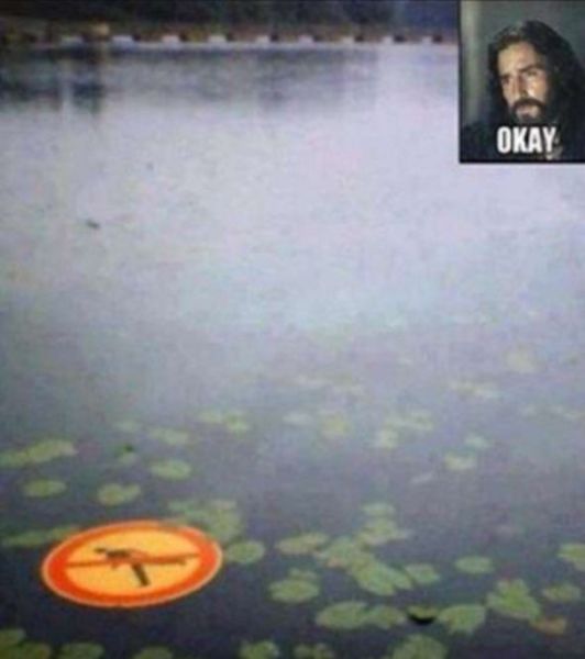 Content Image