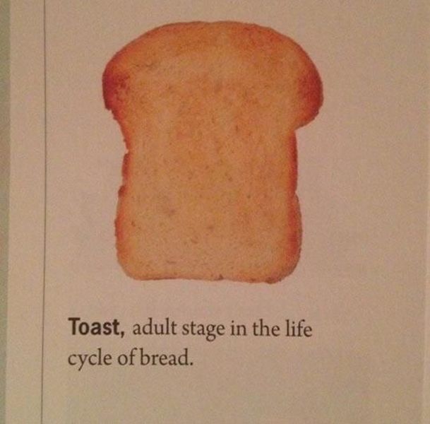 Content Image