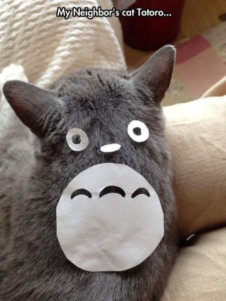 Content Image