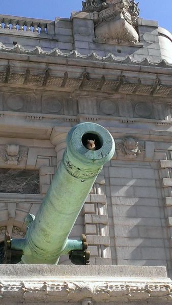 Daily Picdump [WEEKEND EDITION]