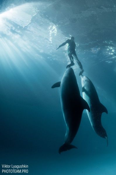 Daily Picdump [WEEKEND EDITION]