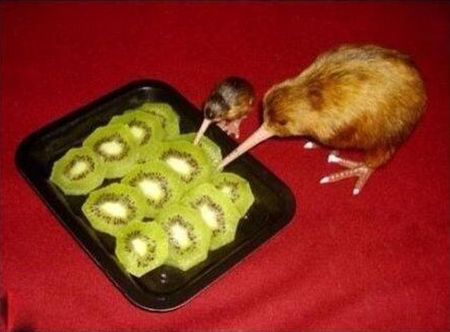 Daily Picdump [WEEKEND EDITION]