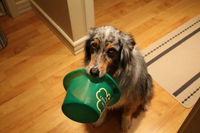 Daily Picdump [WEEKEND EDITION]