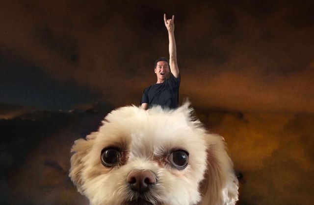 Content Image