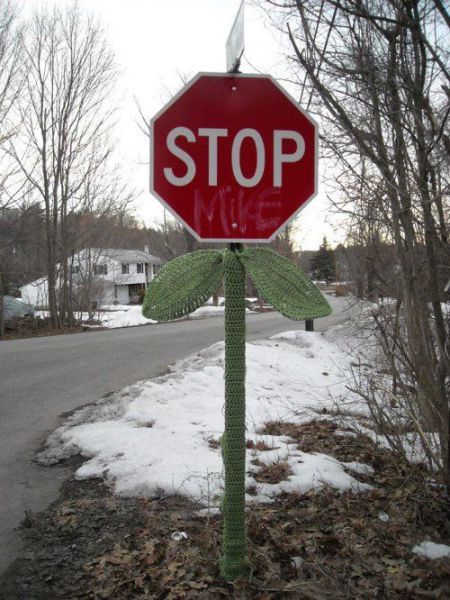 Content Image