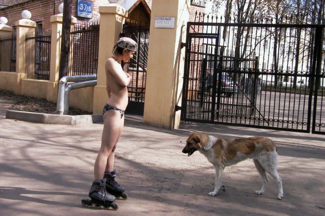 Content Image
