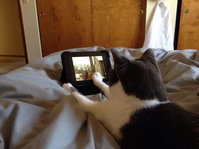 Morning Picdump