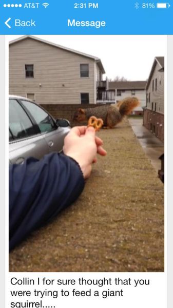 Content Image