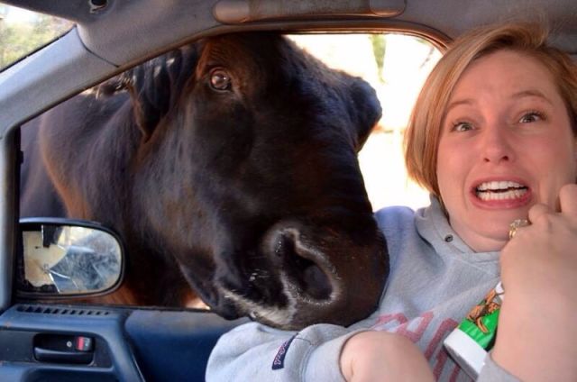 Morning Picdump