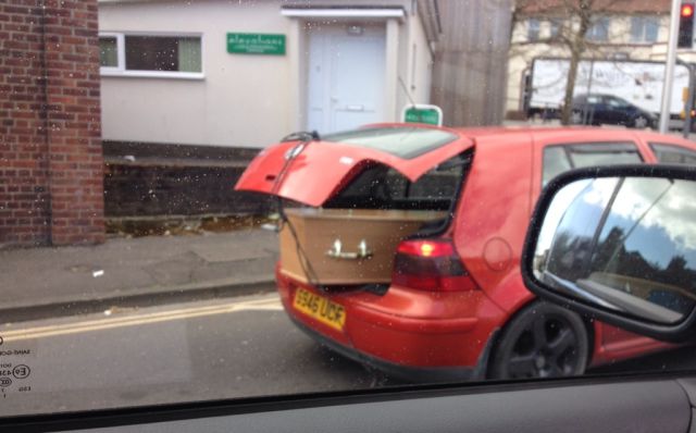 Morning Picdump