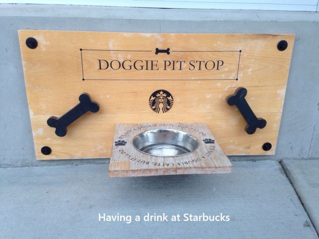 Morning Picdump