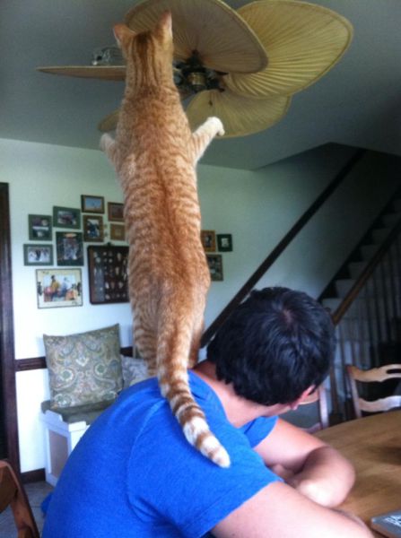Morning Picdump