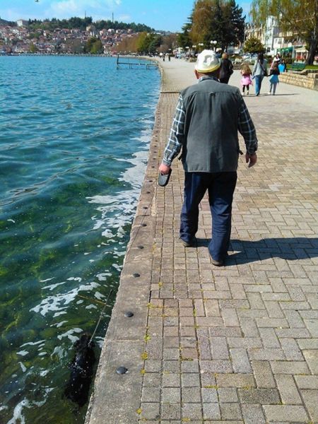 Content Image