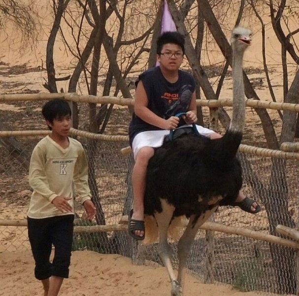Daily Picdump