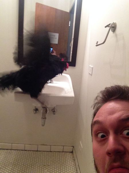 Content Image