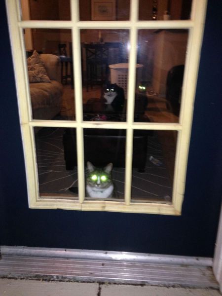 Content Image