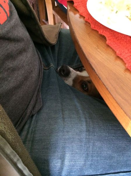 Morning Picdump