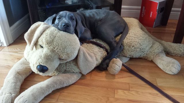Morning Picdump