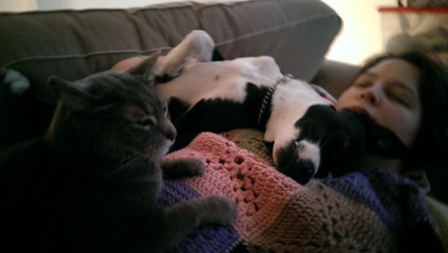 Morning Picdump