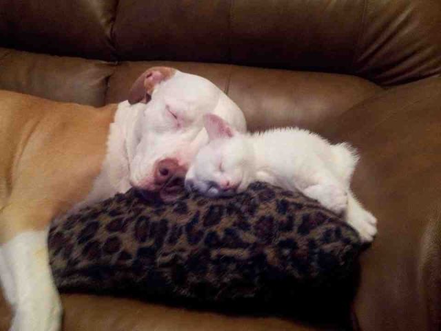 Morning Picdump