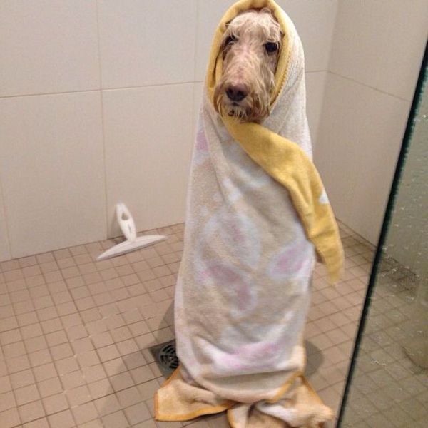 Morning Picdump