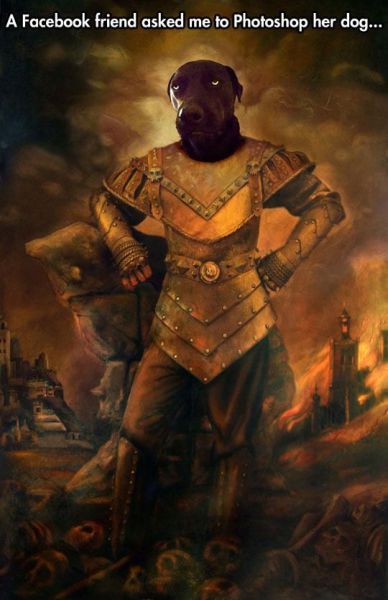 Content Image