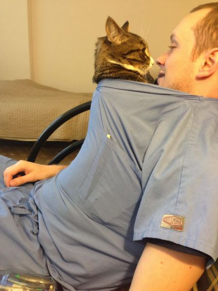 Content Image