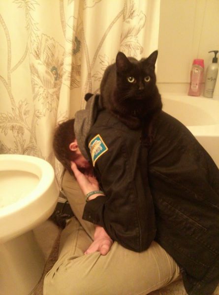 Morning Picdump