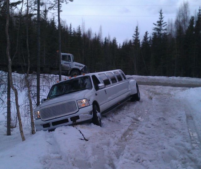 Morning Picdump