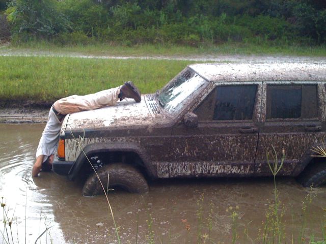 Morning Picdump