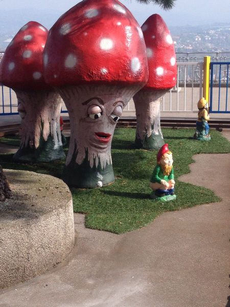 Content Image
