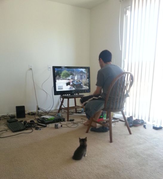 Content Image