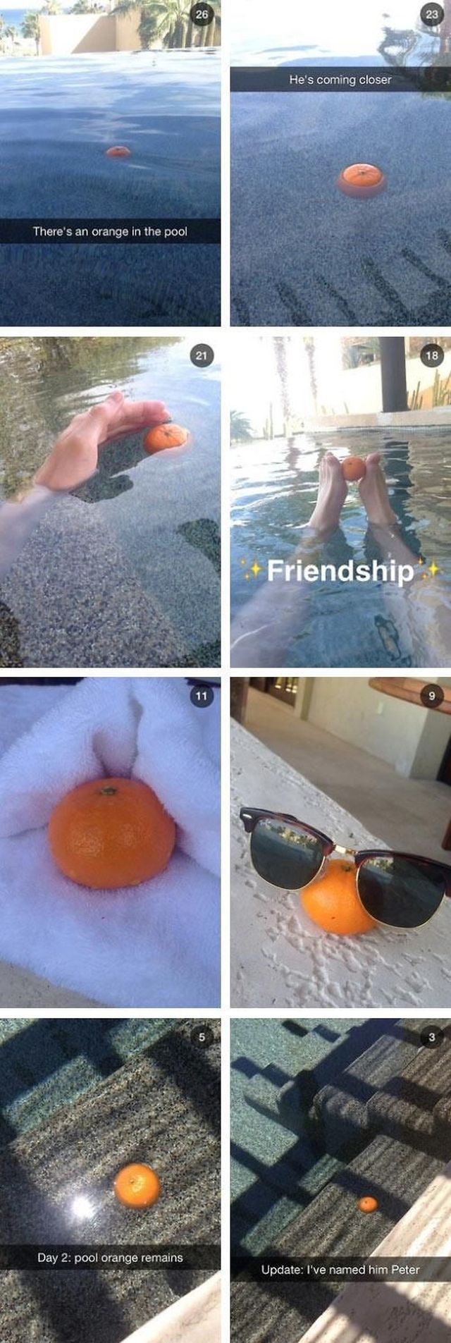 Content Image
