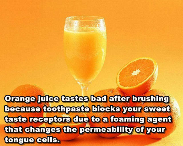 Interesting and Unusual Facts