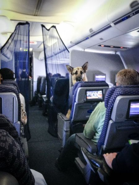 Morning Picdump