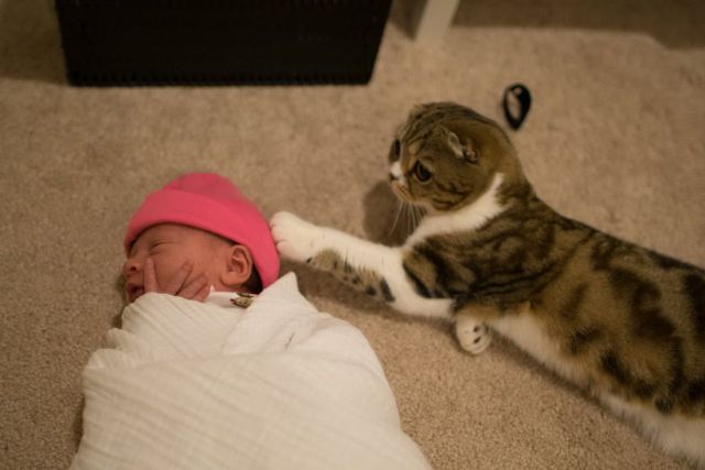 Morning Picdump