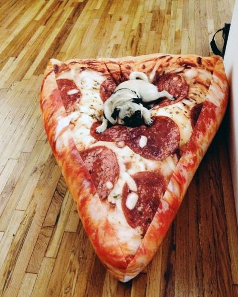 Morning Picdump