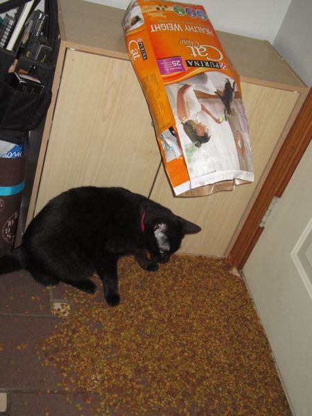 Content Image