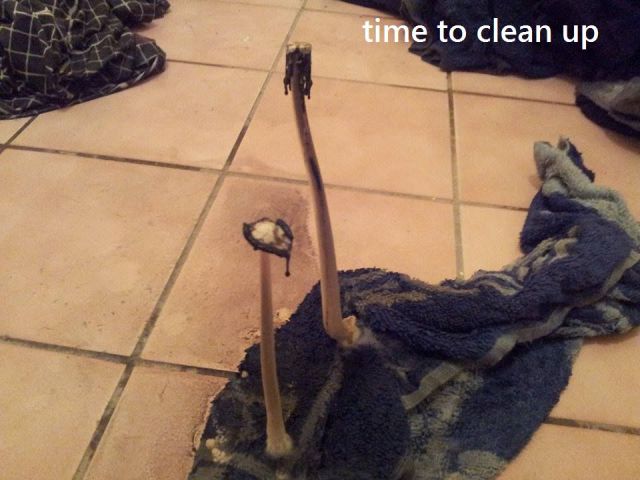 Content Image