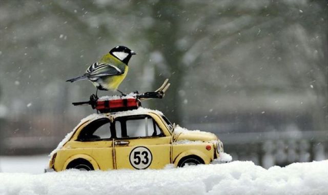 Morning Picdump