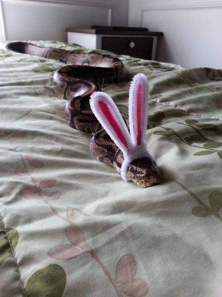 Morning Picdump