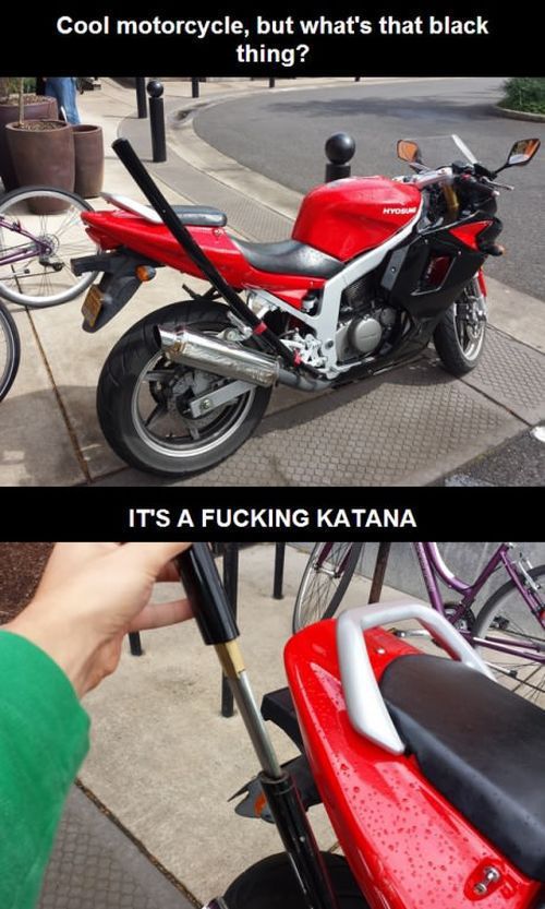 Morning Picdump