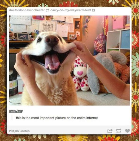Content Image