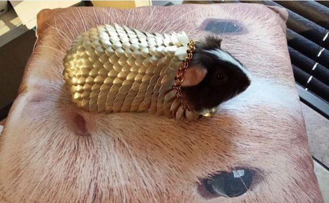 Content Image