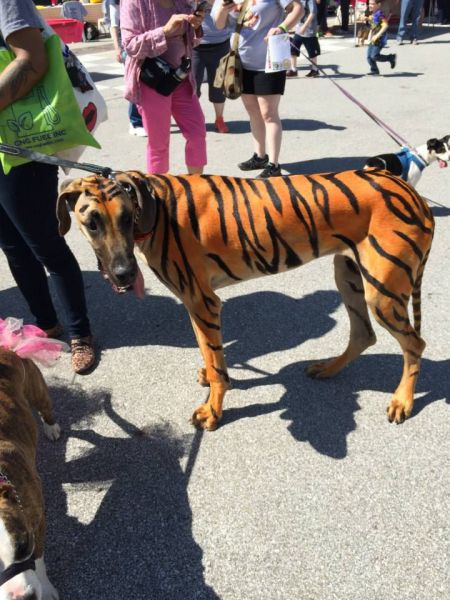 Morning Picdump