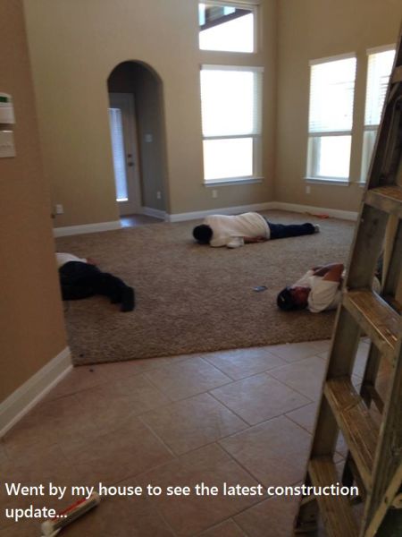 Morning Picdump