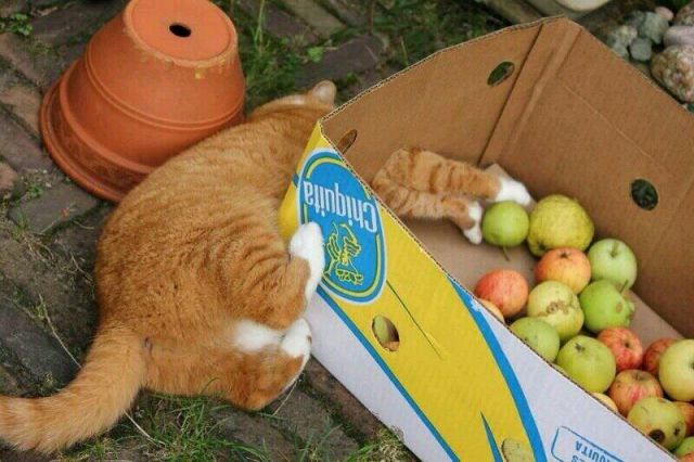 Morning Picdump
