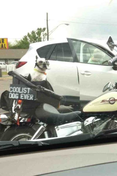 Morning Picdump